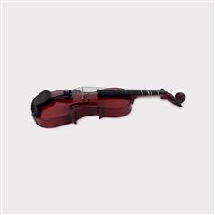 RAGA'S 4/4 VIOLIN VSP-120 w/ Bow and Carrying Case